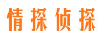 亭湖市婚姻出轨调查